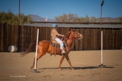 Cadence-Showcase-5-16-25-016