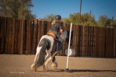 Cadence-Showcase-5-16-25-063