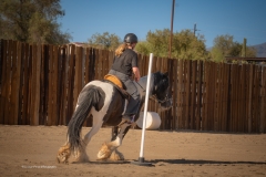Cadence-Showcase-5-16-25-064