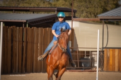 Cadence-Showcase-5-16-25-072