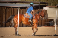 Cadence-Showcase-5-16-25-079
