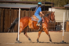 Cadence-Showcase-5-16-25-080