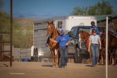 Cadence-Showcase-5-16-25-082