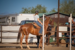 Cadence-Showcase-5-16-25-083