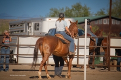 Cadence-Showcase-5-16-25-084