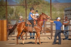 Cadence-Showcase-5-16-25-094