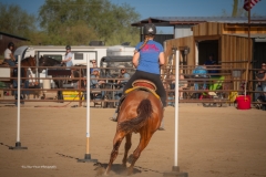 Cadence-Showcase-5-16-25-110