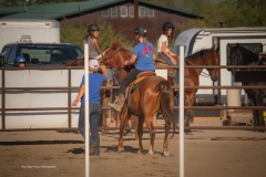 Cadence-Showcase-5-16-25-111
