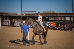 Cadence-Showcase-5-16-25-138