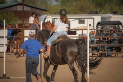 Cadence-Showcase-5-16-25-143