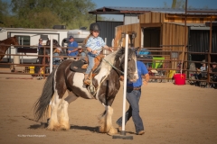 Cadence-Showcase-5-16-25-151