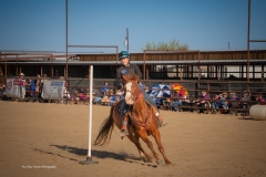 Cadence-Showcase-5-16-25-200