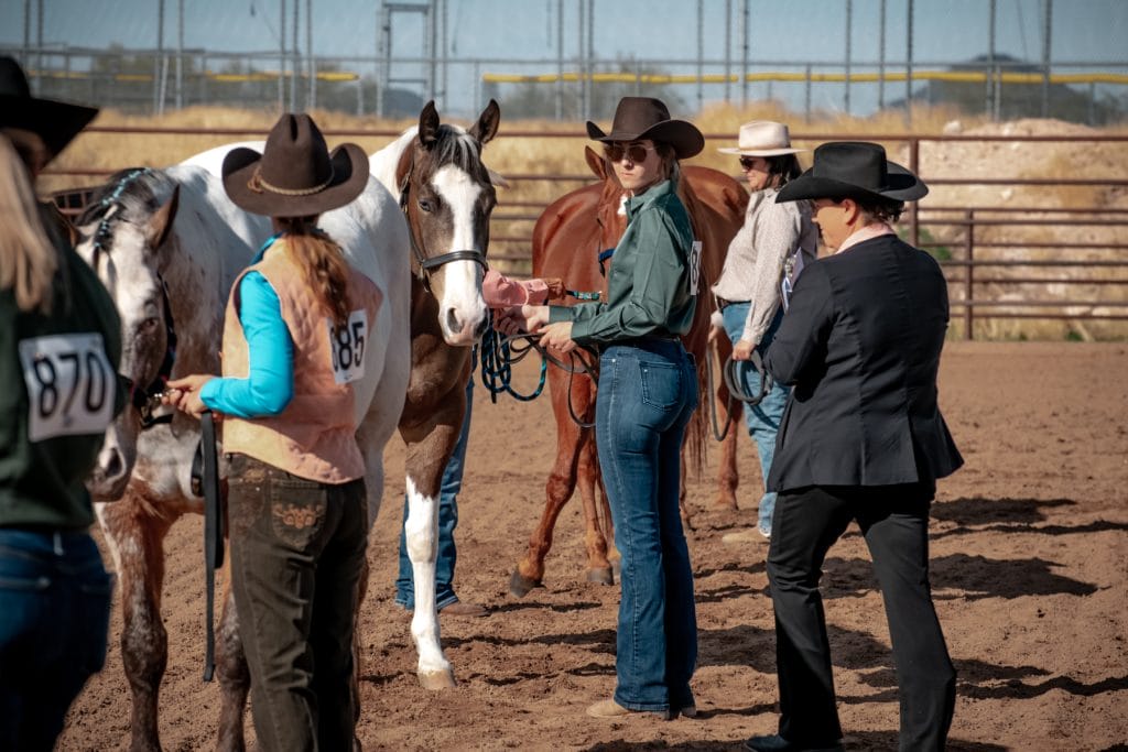 Scottsdale Saddle Club Horse Show 2-24-24